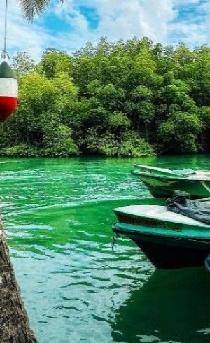 madu-ganga-boat-safari